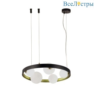 Подвесная люстра F-Promo Shanku 4628-5P