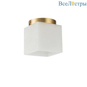Потолочный светильник Belfast Ravenhill 3333F BR MB