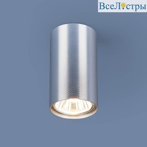 Потолочный светильник Elektrostandard 1081 GU10 SCH сатин хром 4690389107672
