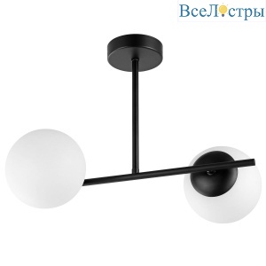Потолочный светильник Lampit Ledo TP 2011-2 BK
