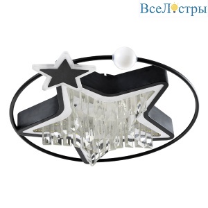 Потолочный светильник LED4U L8025-450 BK
