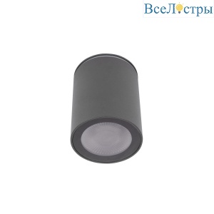 Накладной светильник Loft IT Rush 10344 Black