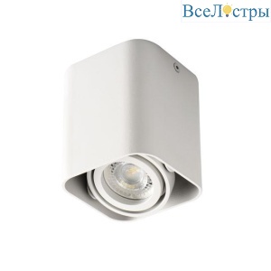 Накладной точечный светильник Kanlux TOLEO DTL50-W 26114