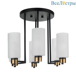Потолочная люстра 33 Идеи CHN900.06.BL17.ASB-S16WH