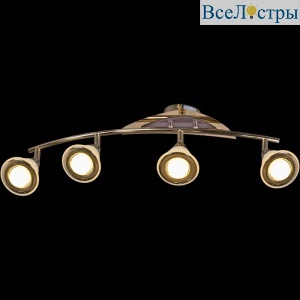 Спот Reluce 00640-0.3-04DA FGD+WD