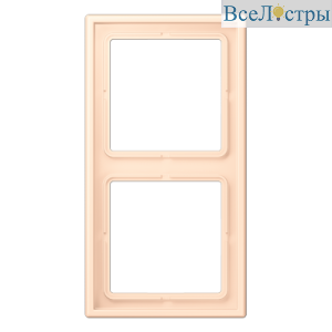 Рамка двухместная Jung LC982238