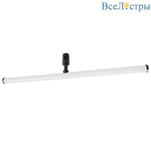 Трековый однофазный светильник Lightstar Due Hermes 270547