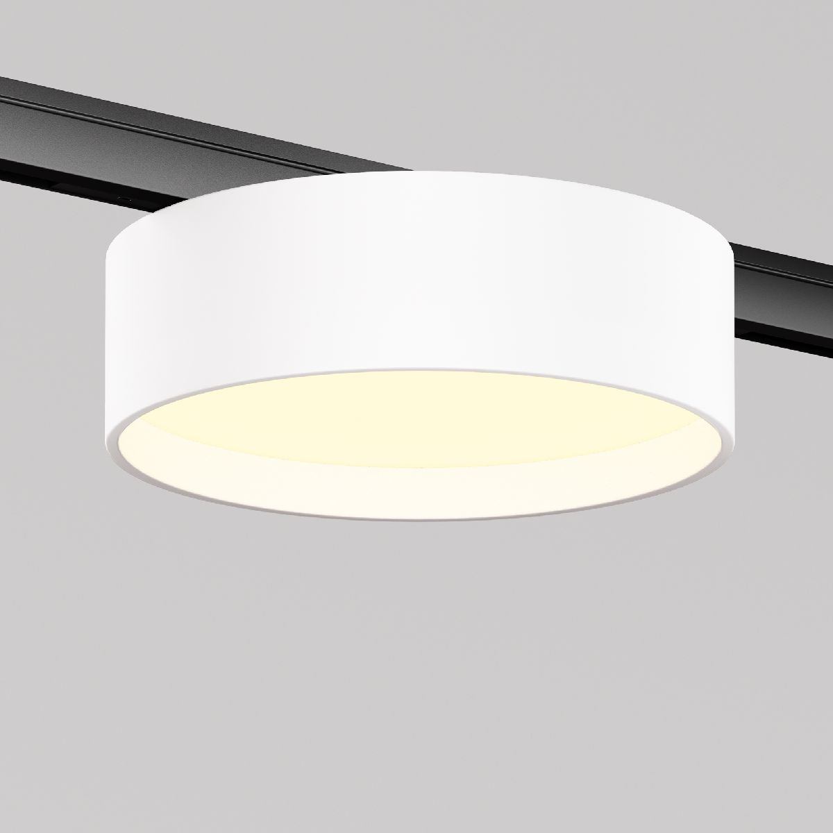 трековый магнитный светильник maytoni zon tr189-1-12w3k-bw