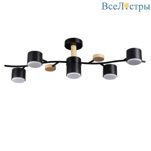 Люстра на штанге Lumion Crypto 8194/5C