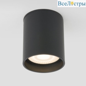 Уличный потолочный светильник Elektrostandard Light LED 4690389176968