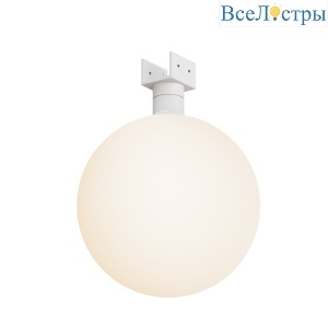 Уличный трековый светильник Maytoni Luna Elasity IP O-TR01-2-S-9WW3K