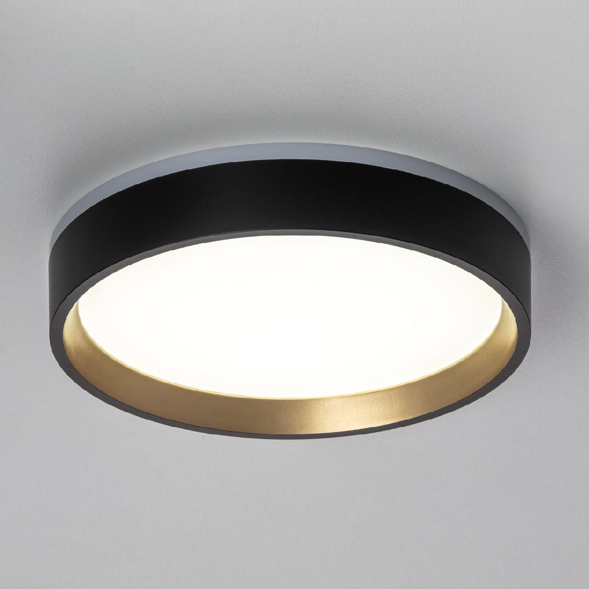 настенно-потолочный светильник citilux etalon cl750181