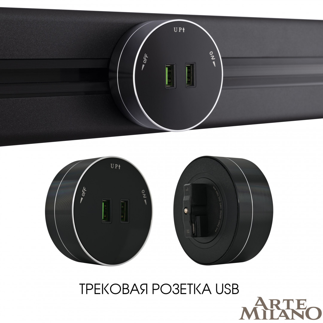 трековая розетка arte milano am-track-sockets 380011ts/usbx2 black