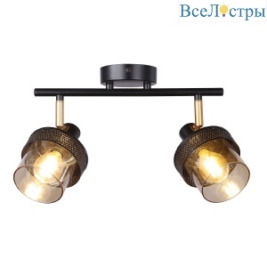 Спот IMEX SP.052-62-01