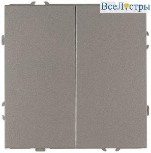 Переключатель Эра Galaxy 15-1106-07 двойной 10АХ-250В IP20 титан Б0070704