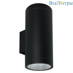 Уличный настенный светильник Arte Lamp Torcular A1313AL-2BK