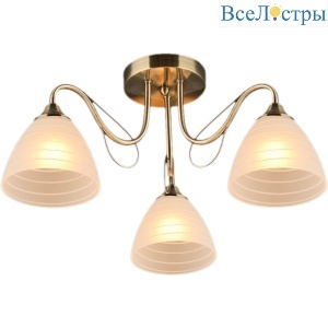 Потолочная люстра Reluce 03078-0.3-03