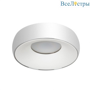 Потолочный светильник Arte Lamp Heze A6665PL-1CC