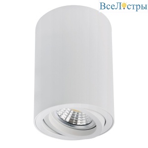 Накладной светильник Arte Lamp Sentry A1566PL-1WH
