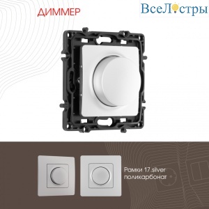 Диммер Arte Milano 217.48-1.silver