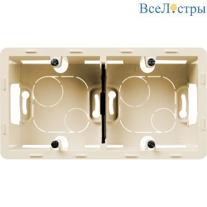 Коробка для накладного монтажа на 2 поста Legrand Inspiria 673991