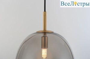 Подвесной светильник Rivoli Claire 6137-101 Б0061905