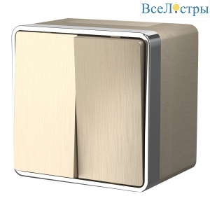 Выключатель двухклавишный влагозащищенный Werkel Gallant 4690389164262 W5020210 a051045