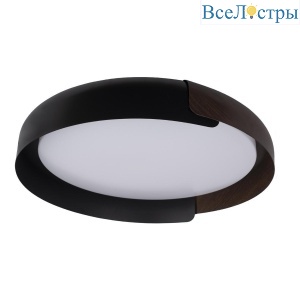 Потолочный светодиодный светильник Loft IT Coin 10198 Black