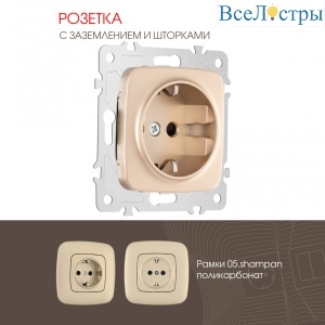 Розетка с заземлением и шторками Arte Milano 205.40-1.shampan