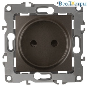 Розетка 2P Эра 12-2105-13 Б0019336