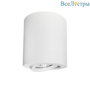 Потолочный светильник Lightstar Binoco 052006
