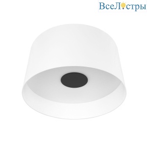 Потолочный светодиодный светильник Loft IT Duo 10360L White