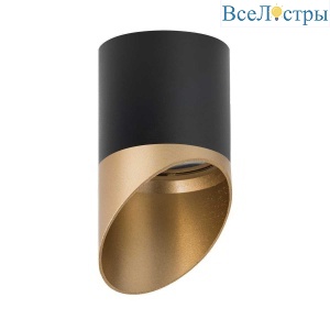 Потолочный светильник Lightstar Rullo (213487+201490) R34871490