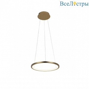 Подвесной светодиодный светильник Loft IT Ring 10014S