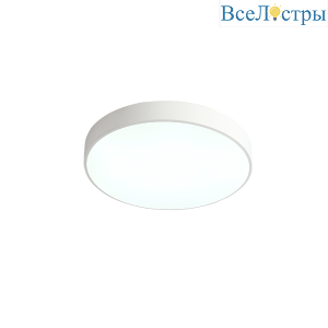 Потолочный светильник Zortes Tortty ZRS.02564.48