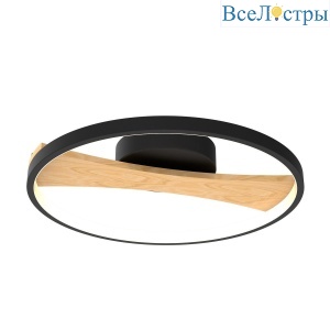 Потолочный светодиодный светильник Lightstar Lodi 723027