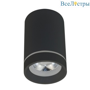 Потолочный светильник Aployt Edda APL.0054.19.10