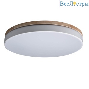 Потолочный светодиодный светильник Loft IT Axel 10001/36 white