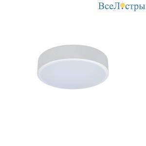 Потолочный светодиодный светильник Loft IT Axel 10002/12 white