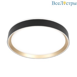 Потолочный светильник Citilux Boss CL751351G