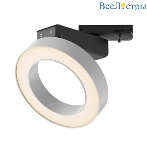 Трековый светильник Maytoni Technical Rim TR044-1-12W3K-W