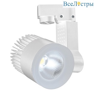 Трековый светодиодный светильник Escada 20030TRA/02LED SWH