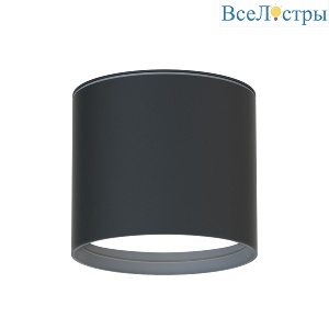Уличный потолочный светильник Favourite Fantum 4663-1U
