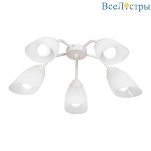 Потолочная люстра Vitaluce V31950/5PL