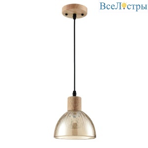 Подвесной светильник Lumion Suspentioni Natana 8054/1A