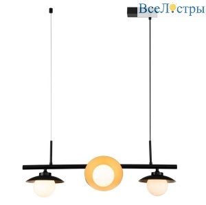 Подвесная люстра Indigo Corazza 10015/4P Black V000281
