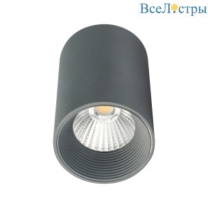 Потолочный светильник 20003 20003SMU/01LED SGY