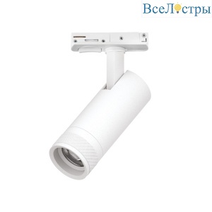 Трековый светильник для однофазного/трехфазного шинопровода Barra 20-55G с тонким адаптером Lightstar Canno Pro C4126SS