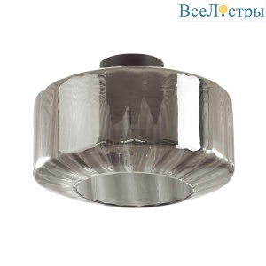 Накладной светильник Odeon Light Binga 4746/1C