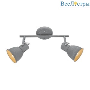 Спот Arte Lamp Jovi 1677 A1677PL-2GY